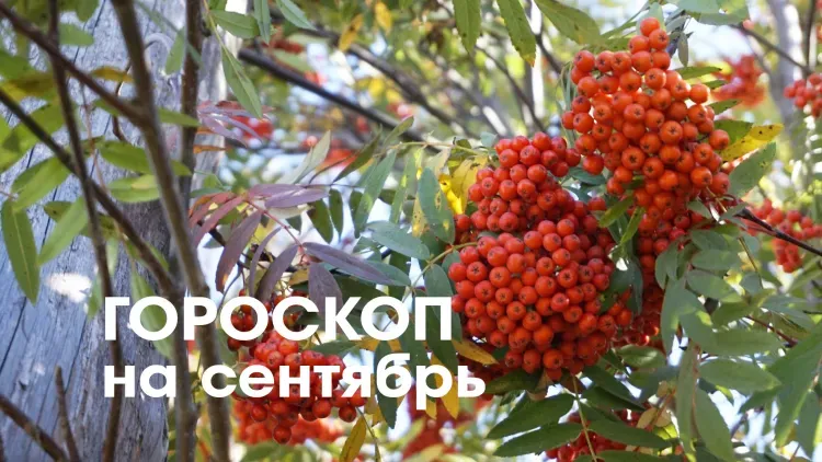 Гороскоп на сентябрь 2026 года: сентябрь не требует кардинальных перемен, но приглашает к осознанной перезагрузке