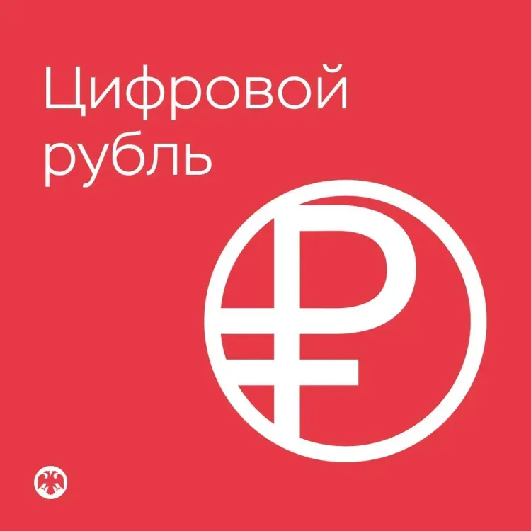 Цифровой рубль: как открыть счет и пользоваться им