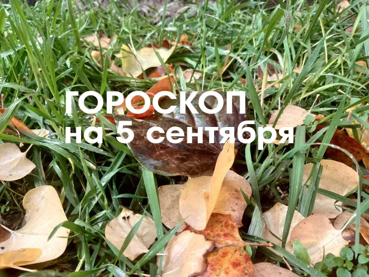 Гороскоп на 5 сентября 2026 года: хорошо начинать осуществление глобальных долгосрочных проектов