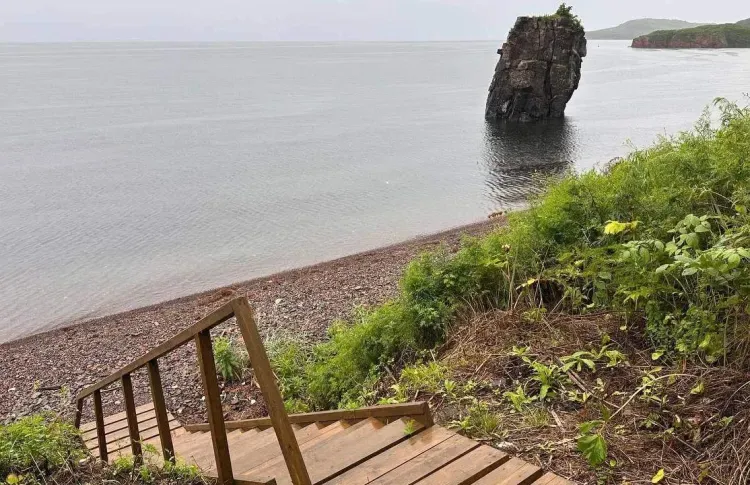 Первую экотропу Дальневосточного морского заповедника откроют на острове Попова