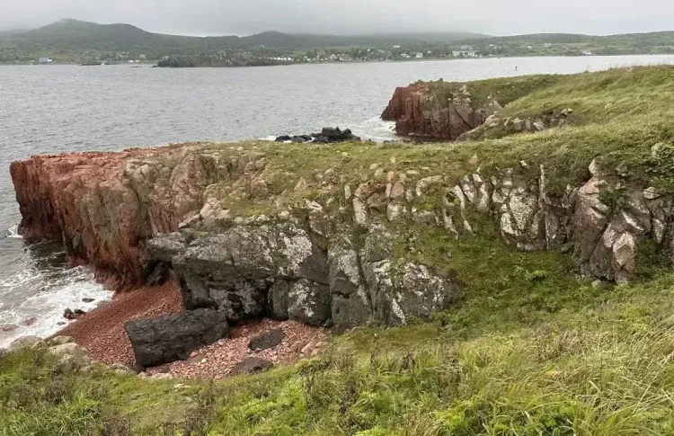 Первую экотропу Дальневосточного морского заповедника откроют на острове Попова