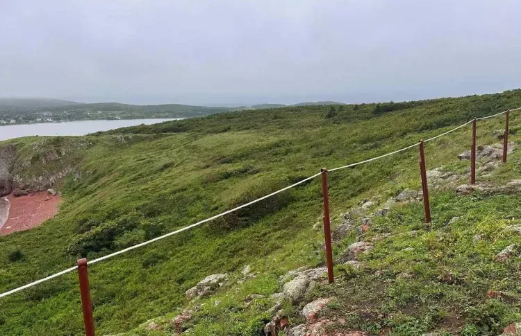 Первую экотропу Дальневосточного морского заповедника откроют на острове Попова
