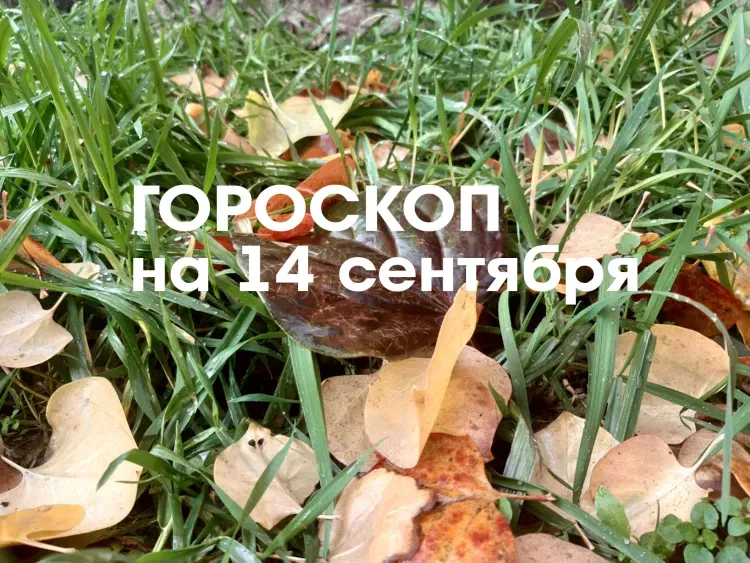 Гороскоп на 14 сентября 2026 года: день подходит для спокойного общения, укрепления семейных связей, примирения с близкими