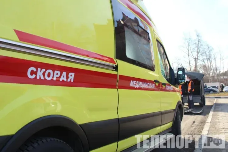 Медведь убил пенсионерку в Красноярском крае