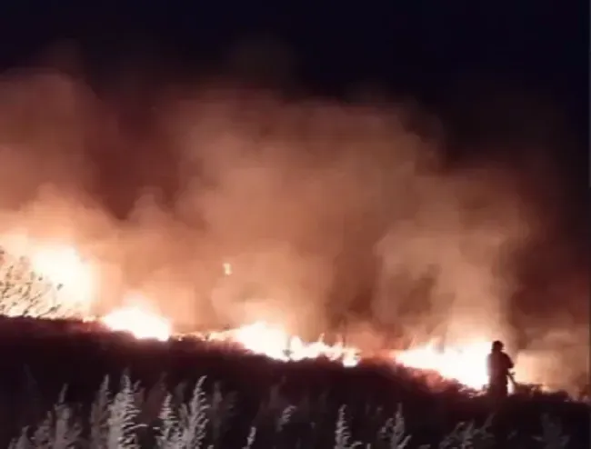 Огонь на подходе к селу остановили пожарные
