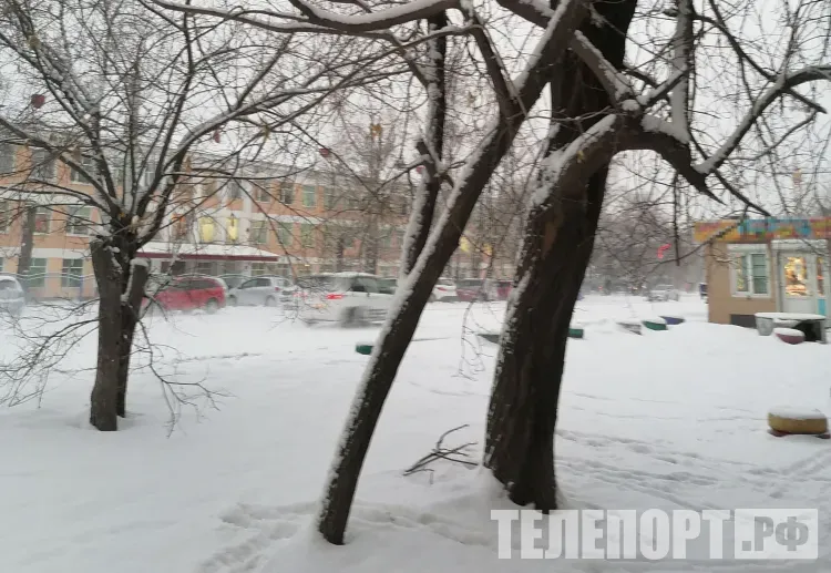 Днем в Амурской области 23 марта местами небольшие и умеренные осадки в виде снега и мокрого снега