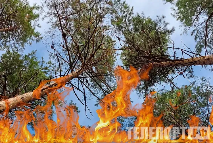 Палы сухой травы угрожают жилым домам в Благовещенском округе