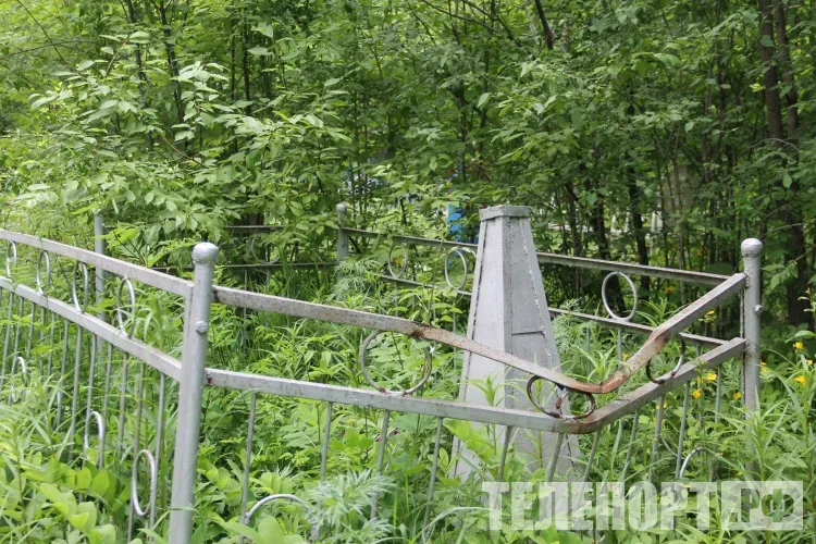 Надгробные памятники разгромили на кладбище Завитинска