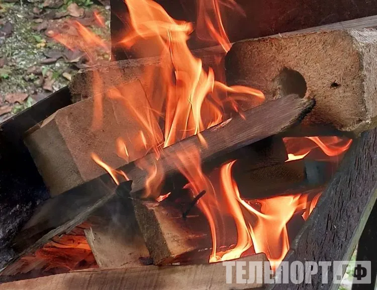 В лесах Амурской области проверят места, где часто бывают отдыхающие
