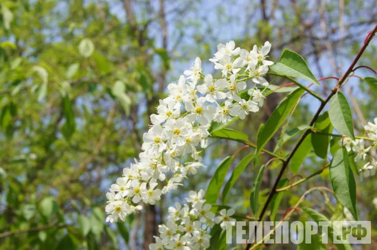 Шестидневную рабочую неделю предложили ввести для россиян