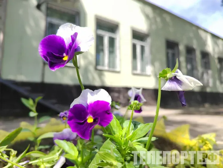 Воздух в Амурской области прогреется до +29 градусов