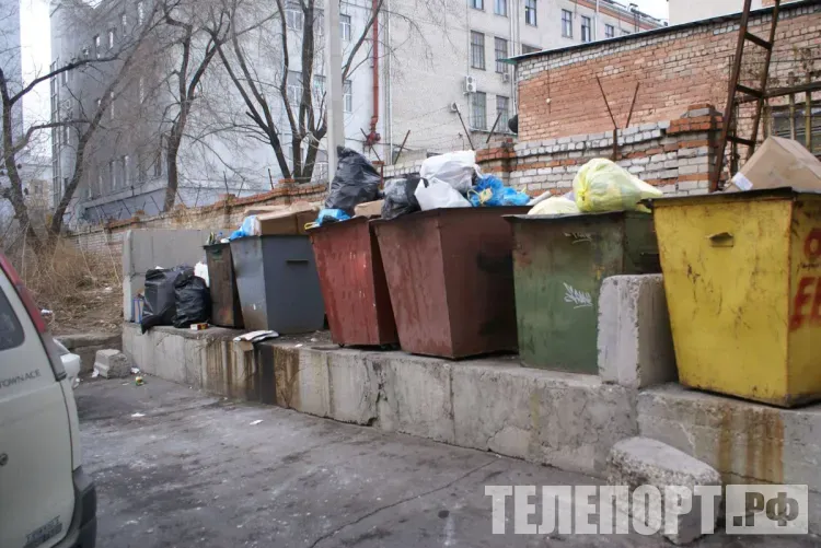 Полигон для мусора построят в Зейском округе