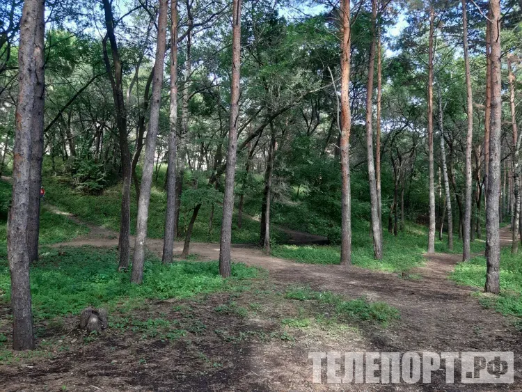 Парк продолжают благоустраивать в Магдагачах по инициативе жителей