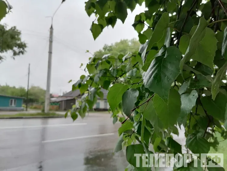 Сильные дожди накроют некоторые регионы России | ТЕЛЕПОРТ.РФ