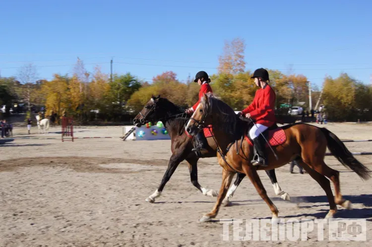 Скачки в Благовещенске соберут спортсменов из трех регионов Дальнего Востока