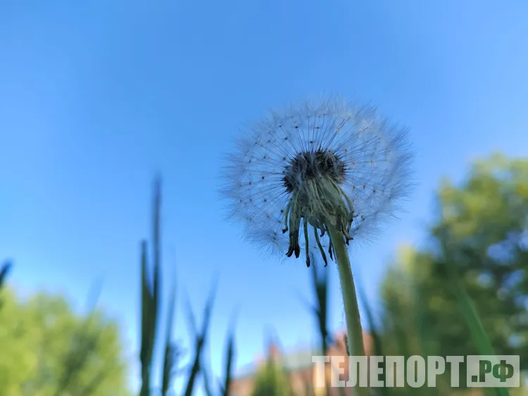 Грозовые дожди и 30-градусная жара 3 июля в Амурской области