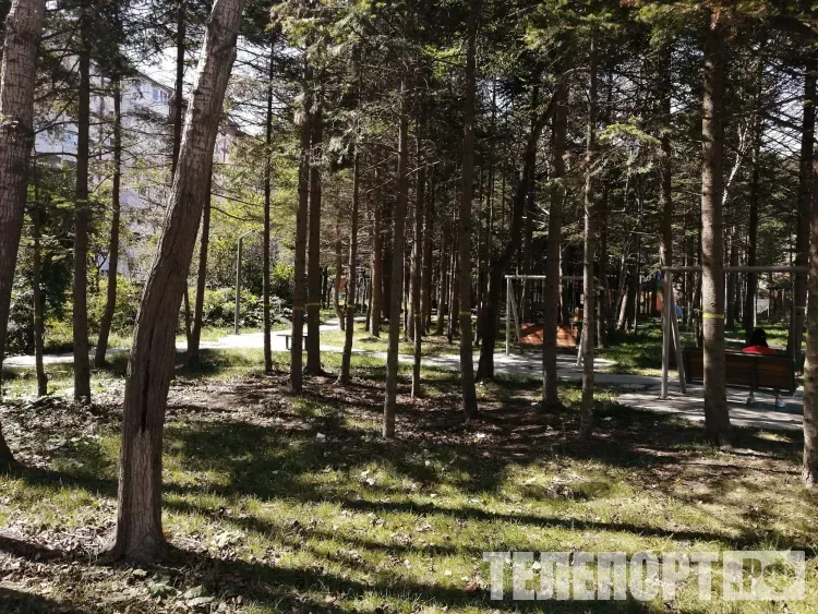 Комары могут переносить те же инфекции, что и клещи