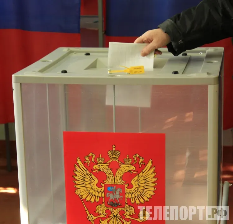 Численность избирателей уменьшилась в Амурской области