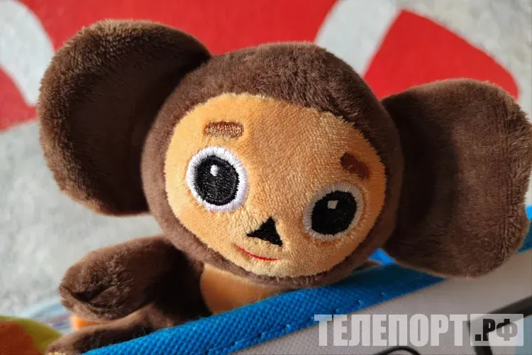 Чебурашек для бойцов СВО связала жительница Амурской области