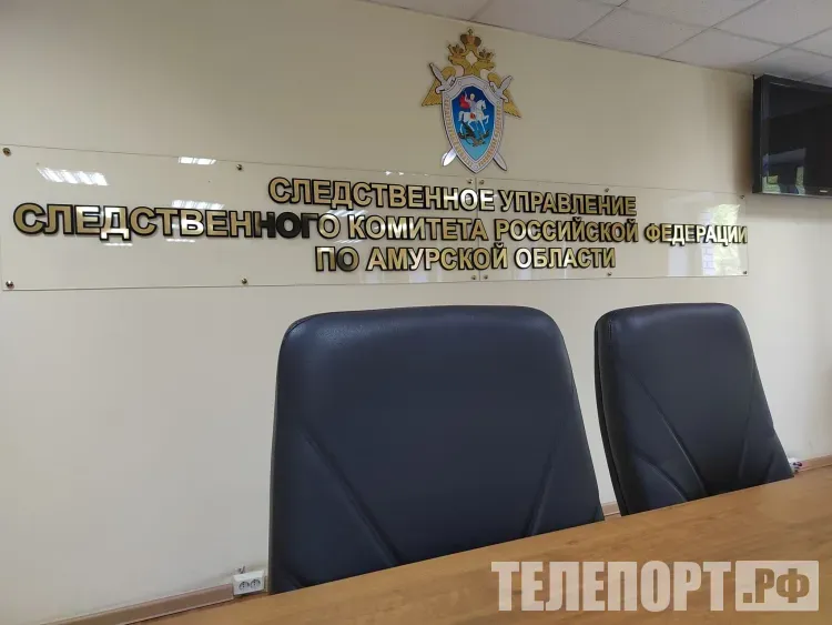 Обвиняемому в убийстве жены и маленького сына в Благовещенске грозит пожизненный срок