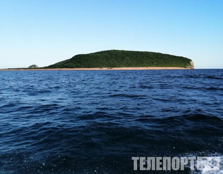 Армии России и Китая проведут в Японском море военные учения