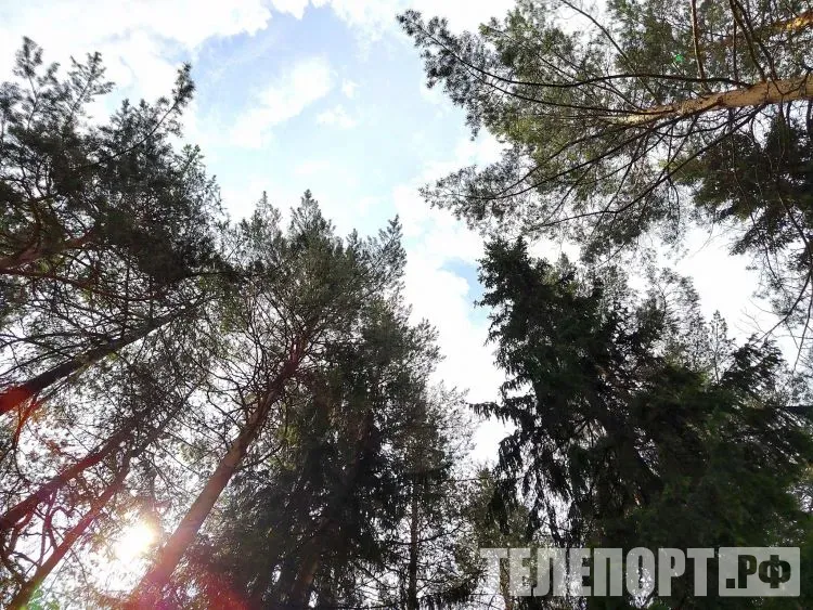 Чрезвычайный класс пожарной опасности введен в двух районах Амурской области