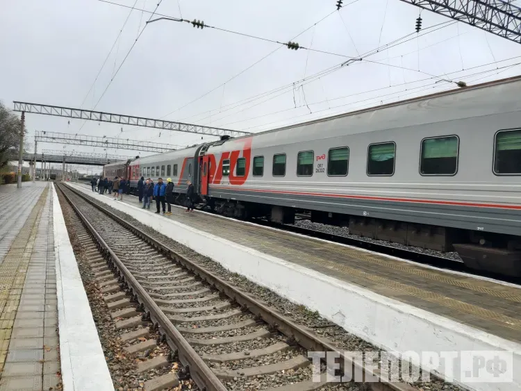 Житель Приамурья, угрожая проводнице, требовал остановить поезд