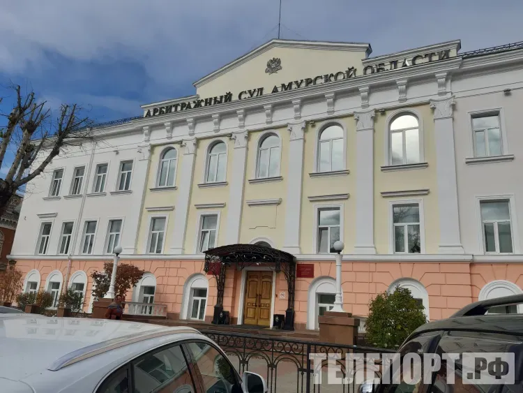 С предпринимателей требуют 2,5 млн рублей за продажу контрафактных товаров в Приамурье