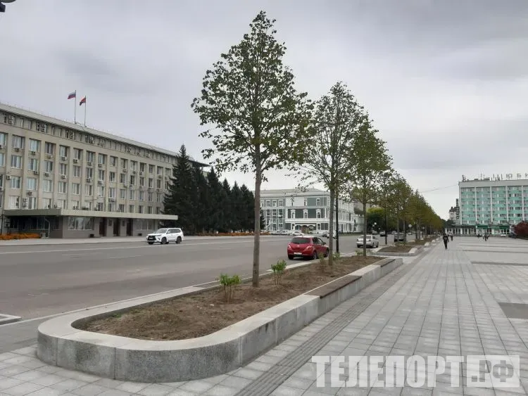 Липы из Германии гибнут в жару в центре Благовещенска