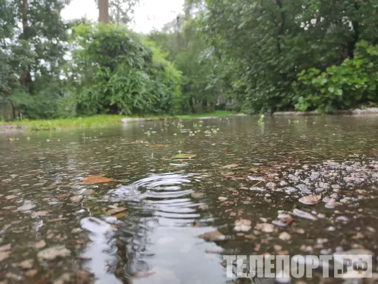 Штормовое предупреждение о сильных ливнях опубликовали в Приамурье