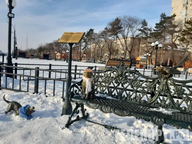 Похититель бронзовой сороки принес извинения жителям Благовещенска