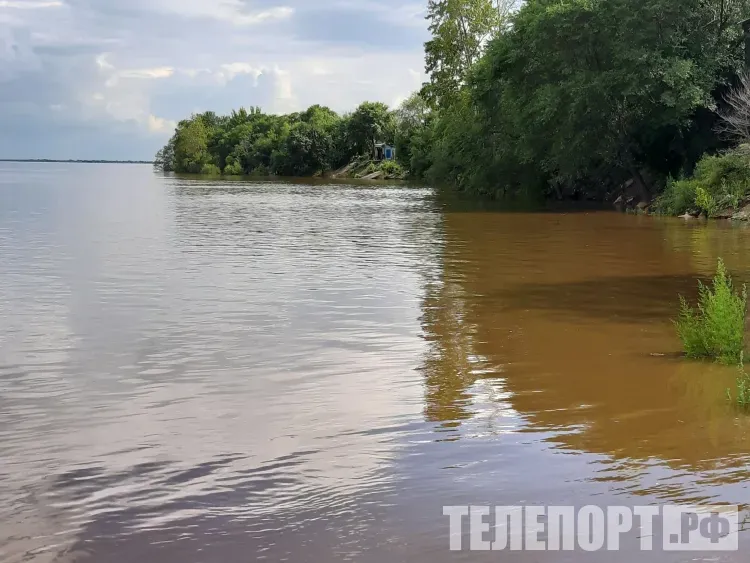 Угроза прорыва дамбы возникла в Приморском крае: вода прибывает 