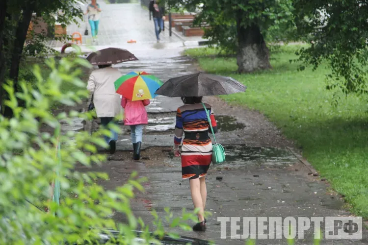 Днем в Амурской области 31 августа кратковременный дождь, местами ливень, гроза