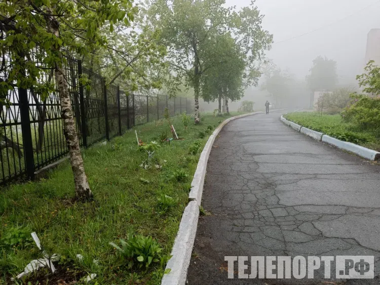 Китайские циклоны принесут Амурской области еще порцию дождей