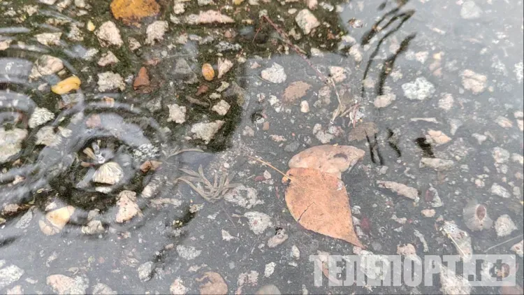 Режим повышенной готовности вводят в Благовещенске из-за непогоды