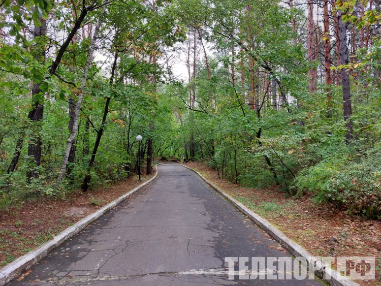 Благоустройство "Тропы здоровья" активно продолжается в Тынде