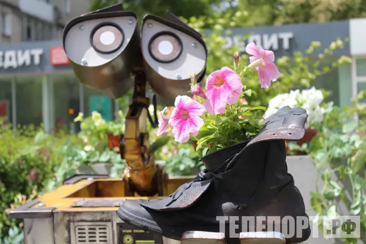 Редкие растения из личных коллекций привезут цветоводы в Благовещенск 