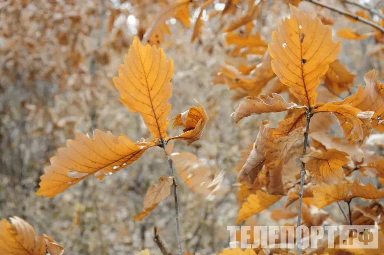 Воздух в Амурской области прогреется до +16 градусов