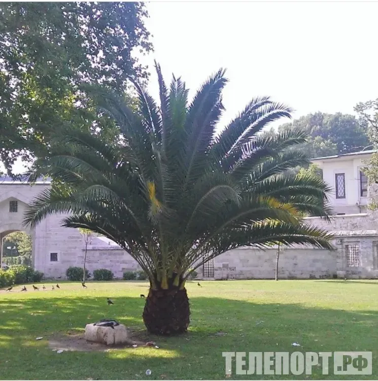 Туроператоры предлагают россиянам рекордные скидки на на зарубежные отели и авиабилеты