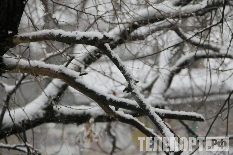 Глубокий циклон принесет снег и холод в Амурскую область