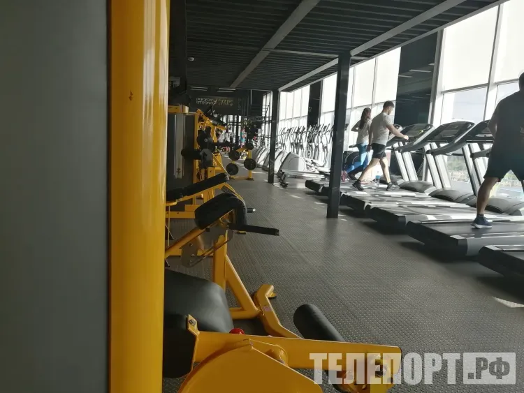 Бегом, спортивной ходьбой и легкой атлетикой стали чаще заниматься россияне