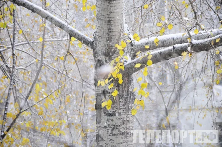 Снег и порывистый ветер 19 октября в Амурской области