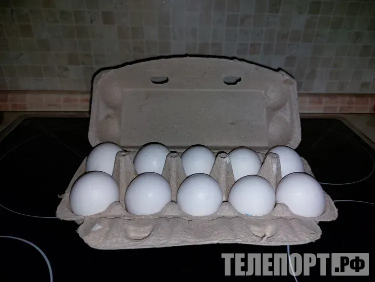 Цены на мясо птицы и яйца снизятся в России