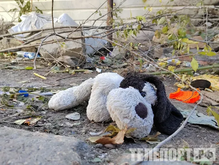 Фотоловушку для борьбы со стихийными свалками установили в амурском селе