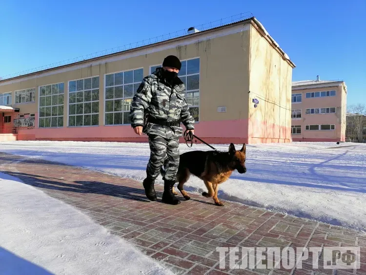 Шесть школ "заминировали" в Благовещенске