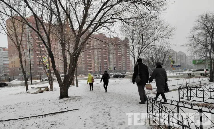 Небольшой и умеренный снег в Амурской области 9 ноября