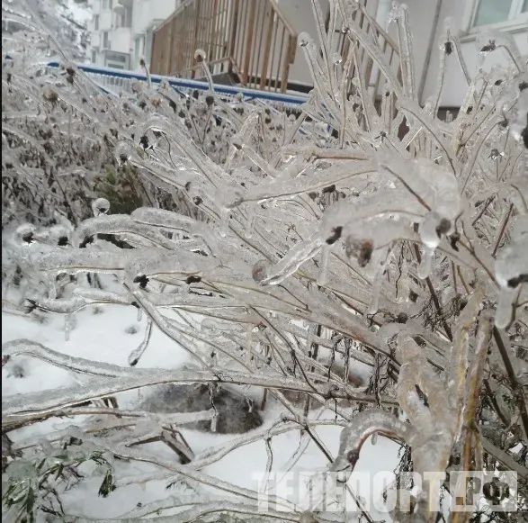 Экстремальных погодных явлений станет больше в России