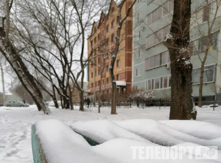 Снегопад и потепление принесет декабрьский циклон в Амурскую область