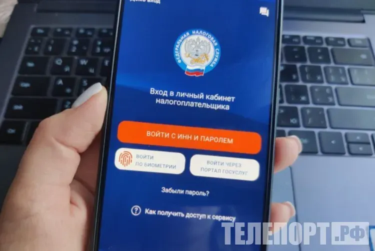 Срок уплаты налогов на имущество истекает 1 декабря