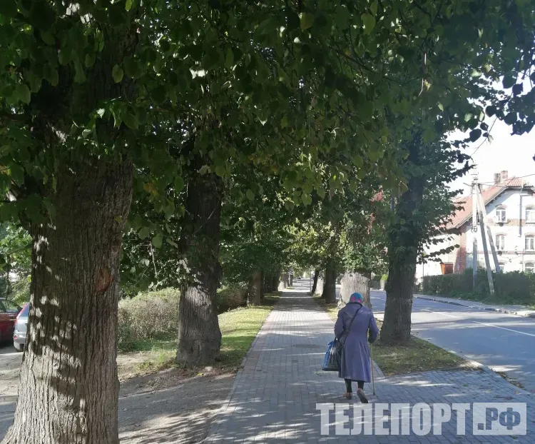 Короткие прогулки после еды замедлят рост уровня сахара в крови